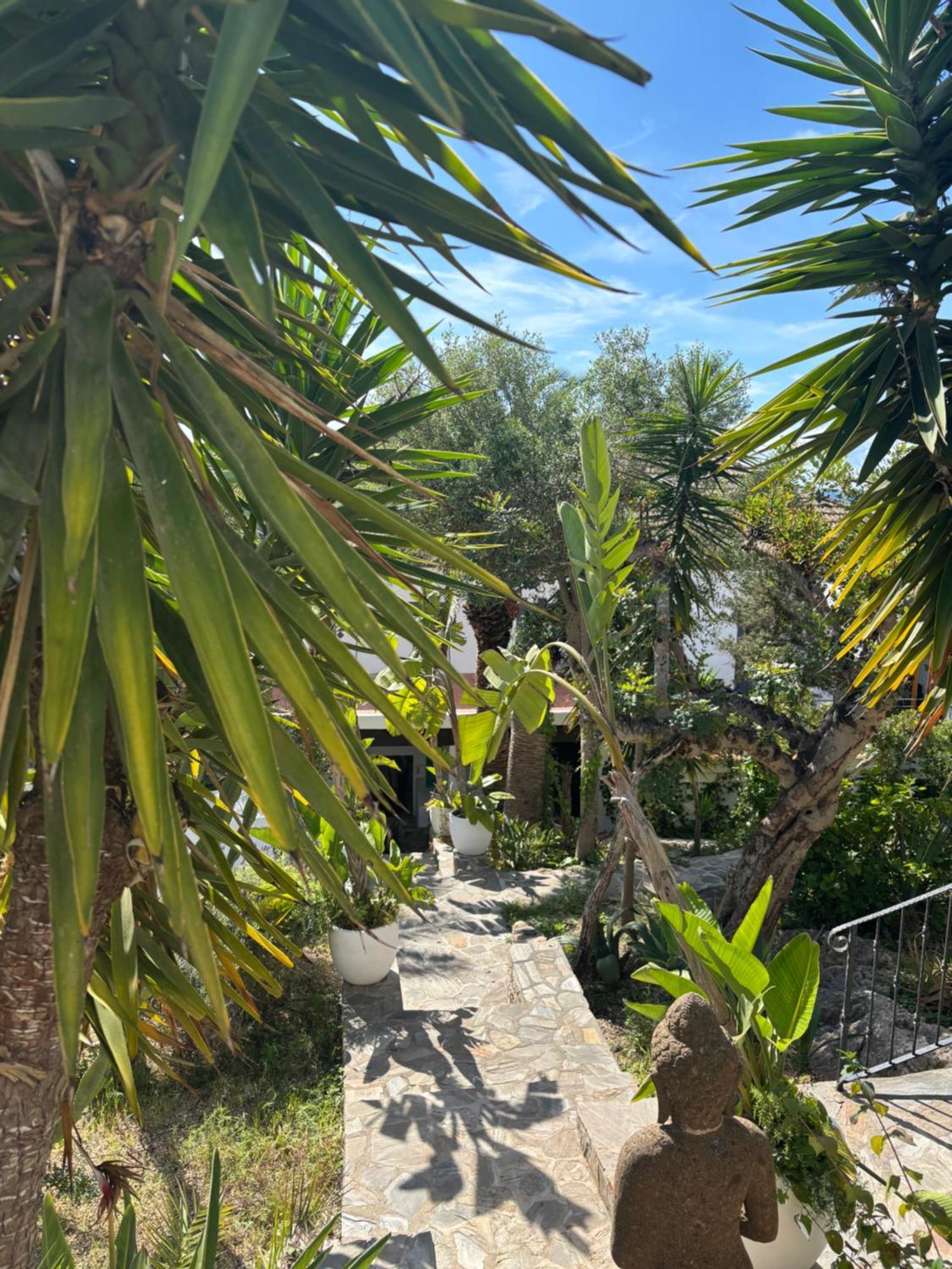 Buenavista & Suites Santa Eularia des Riu Dış mekan fotoğraf